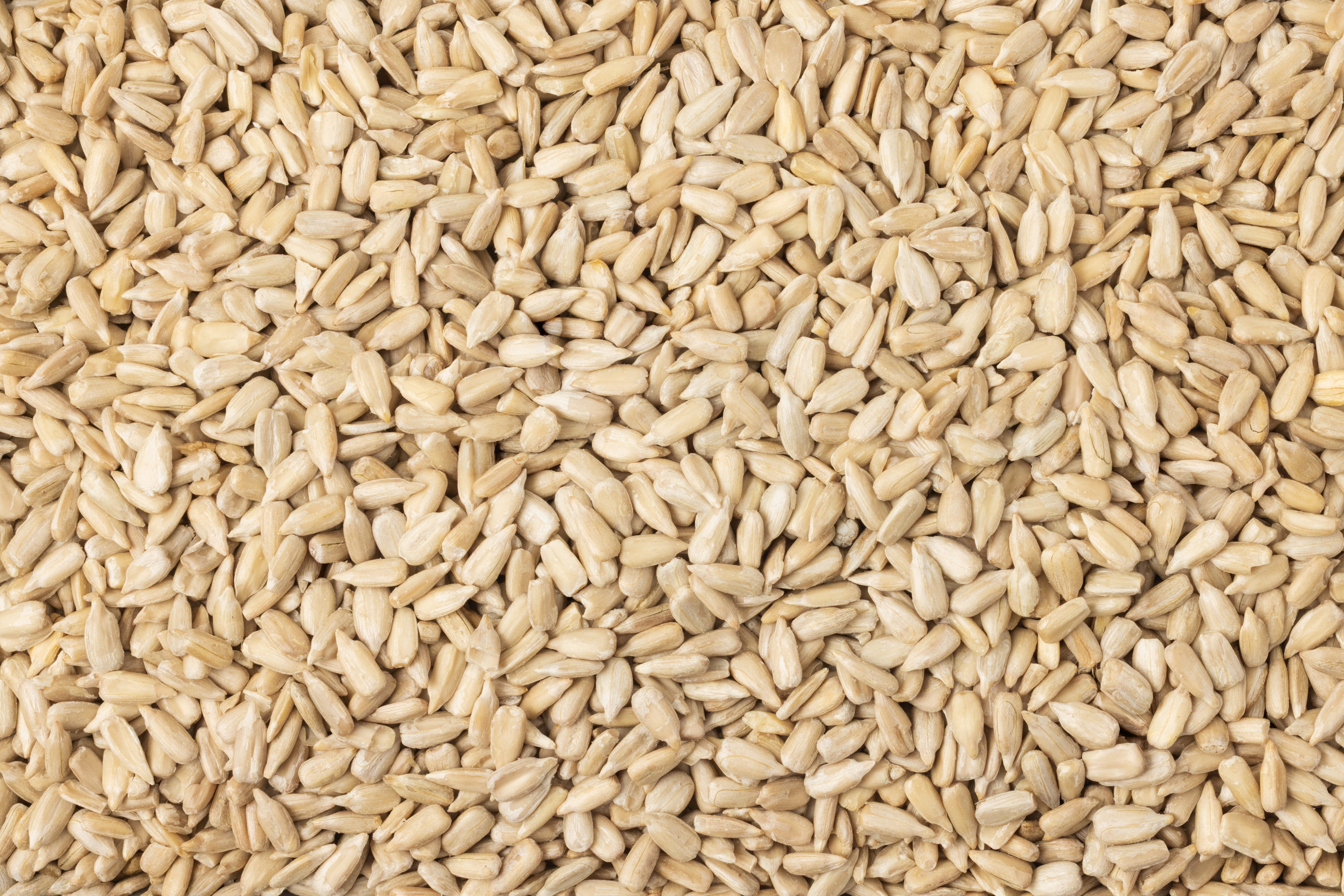 Organic Domestic Sunflower Seeds (Raw, No Shell)